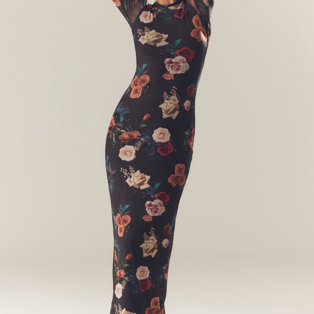 AFRM Didi Long Sleeve Mesh Maxi Dress in Chocolate Rose in size large.